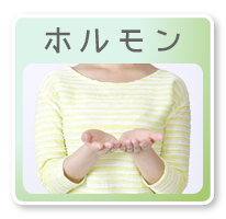 ホルモン